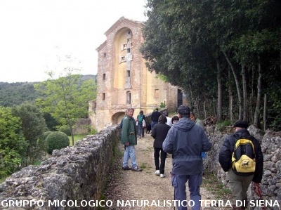 Escursione 2 sulla Montagnola Senese
