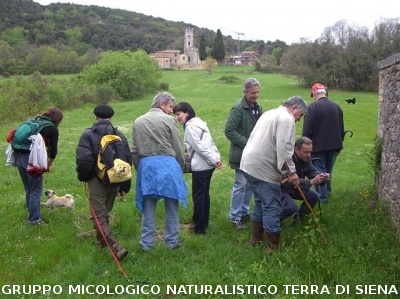Escursione 2 sulla Montagnola Senese