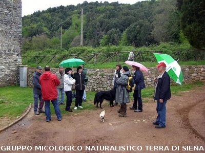 Escursione 2 sulla Montagnola Senese