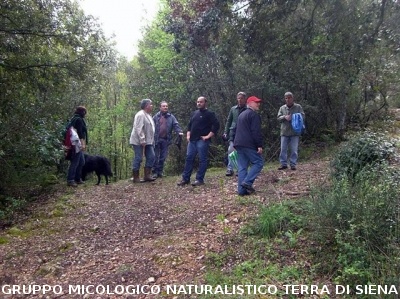 Escursione 2 sulla Montagnola Senese