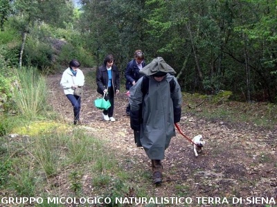 Escursione 2 sulla Montagnola Senese