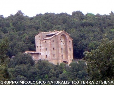 Escursione 2 sulla Montagnola Senese
