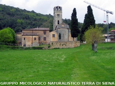Escursione 2 sulla Montagnola Senese