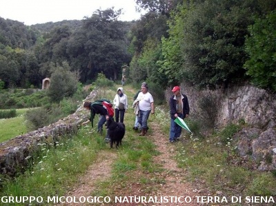 Escursione 2 sulla Montagnola Senese