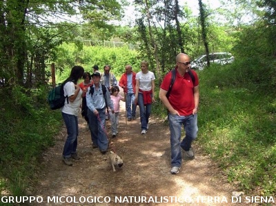 Escursione 3 sulla Montagnola Senese