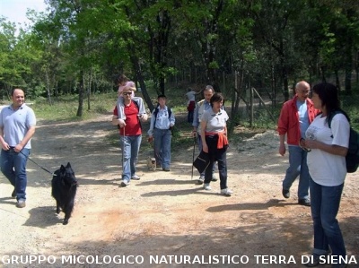 Escursione 3 sulla Montagnola Senese