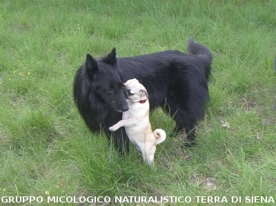 Escursione 3 sulla Montagnola Senese