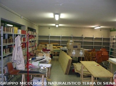 Consiglio Direttivo AGMT