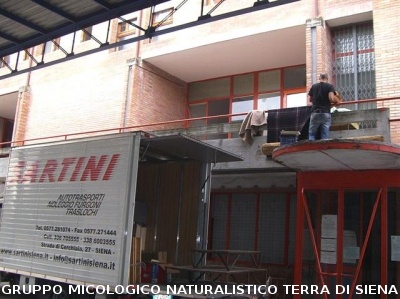 Consiglio Direttivo AGMT
