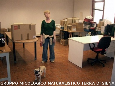 Consiglio Direttivo AGMT
