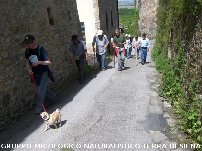 Escursione 4 della Montagnola Senese