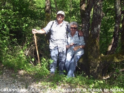 Escursione 4 della Montagnola Senese