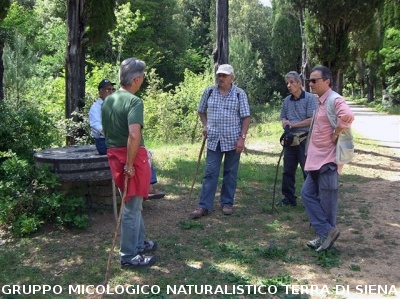 Escursione 4 della Montagnola Senese
