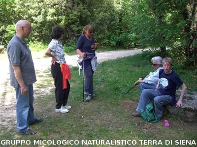Escursione 4 della Montagnola Senese