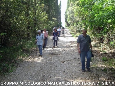 Escursione 4 della Montagnola Senese
