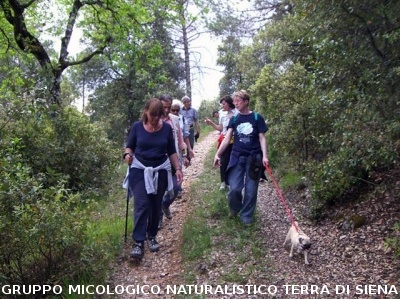 Escursione 4 della Montagnola Senese