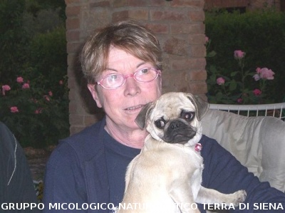 Escursione 4 della Montagnola Senese