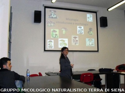 Corso base