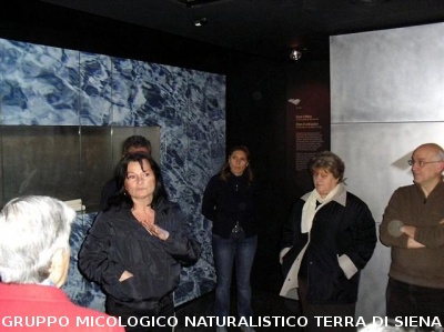 Visita al Museo dell'Acqua