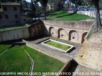 Visita al Museo dell'Acqua