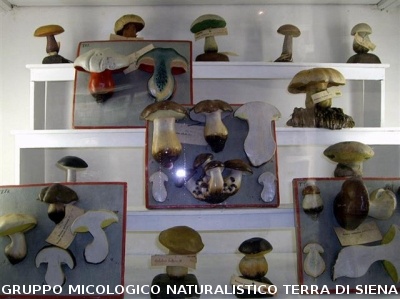 COLLEZIONE VALENTI SERINI
