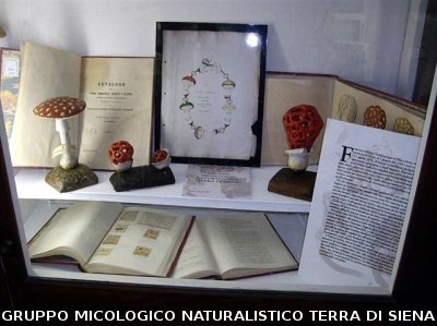 COLLEZIONE VALENTI SERINI