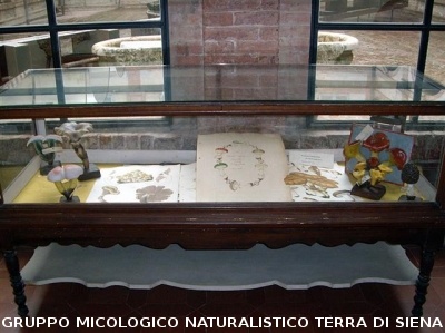 DECENNALE 1998-2008