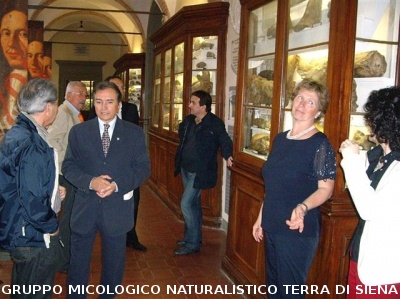 DECENNALE 1998-2008
