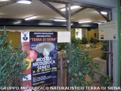 Mostra Micologica Senese