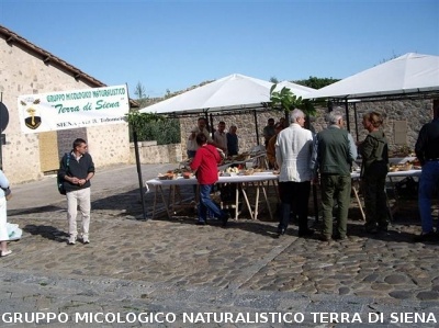 Mostra Micologica a Monteriggioni