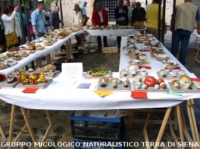 Mostra Micologica a Monteriggioni
