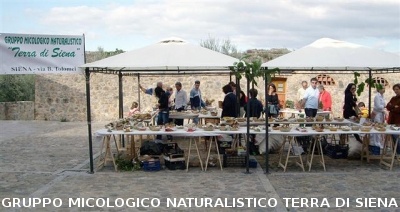 Mostra Micologica a Monteriggioni