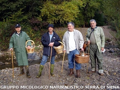 Mostra Micologica Senese