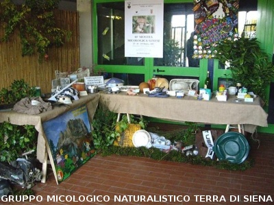 Mostra Micologica Senese
