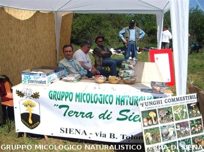 Festa della Montagnola Senese