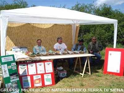 Festa della Montagnola Senese