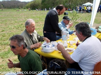 Festa della Montagnola Senese
