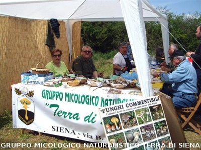 Festa della Montagnola Senese