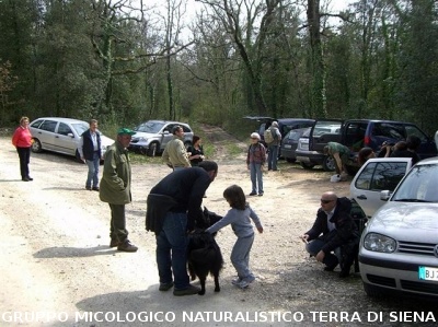 Escursione 1 sulla Montagnola Senese