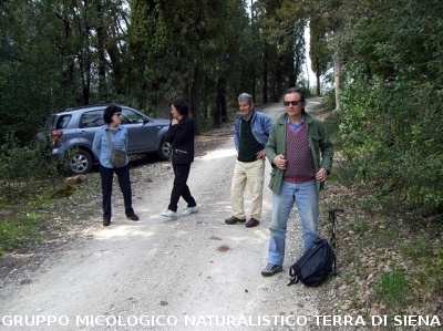 Escursione 1 sulla Montagnola Senese
