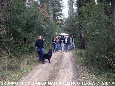 Escursione 1 sulla Montagnola Senese