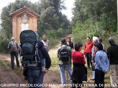 Escursione 1 sulla Montagnola Senese