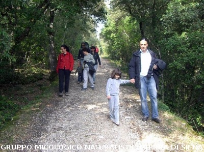 Escursione 1 sulla Montagnola Senese