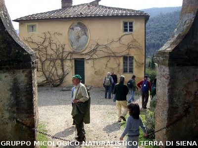 Escursione 1 sulla Montagnola Senese