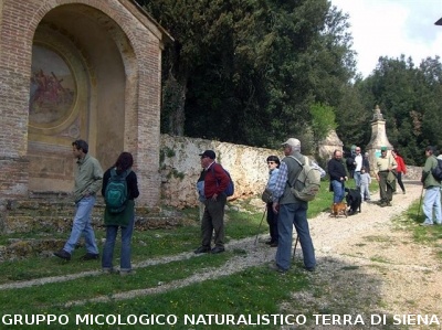 Escursione 1 sulla Montagnola Senese