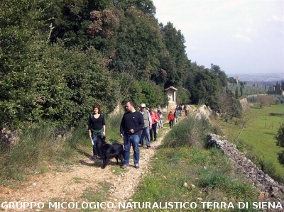 Escursione 1 sulla Montagnola Senese