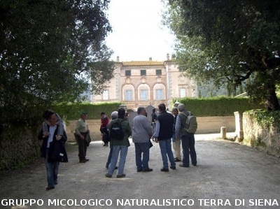 Escursione 1 sulla Montagnola Senese