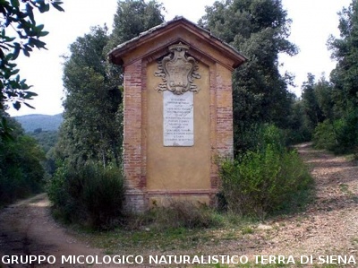 Escursione 1 sulla Montagnola Senese