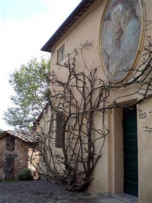 Escursione 1 sulla Montagnola Senese