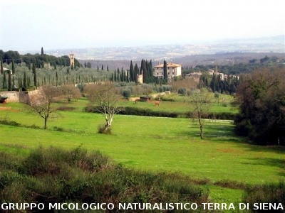 Escursione 1 sulla Montagnola Senese
